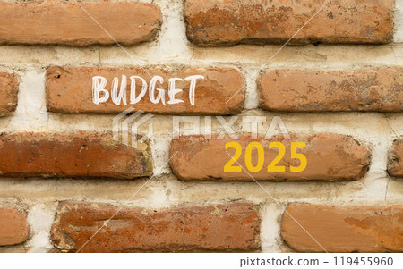 Planning budget 2025 new year symbol. Concept words Budget 2025 on beautiful brown brick wall. Beautiful brown brick wall background. Business budget 2025 new year concept. Copy space. 119455960