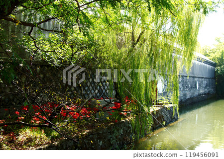 柳川水鄉 - 護城河周圍散步路線的風景 119456091