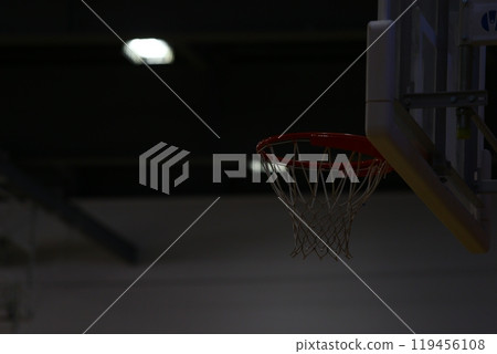 籃球 119456108