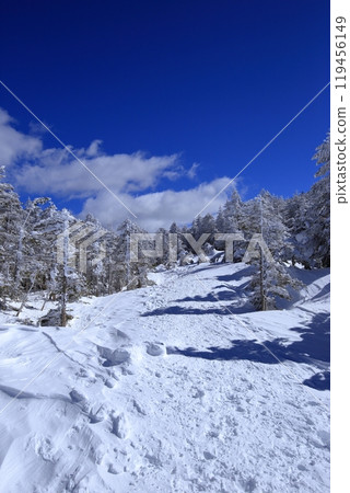 Scenery of Kitayokodake in the harsh winter (Hatchodaira) 119456149