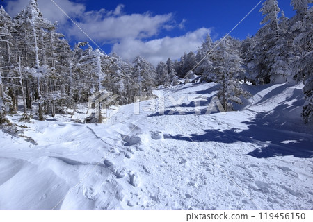 Scenery of Kitayokodake in the harsh winter (Hatchodaira) 119456150