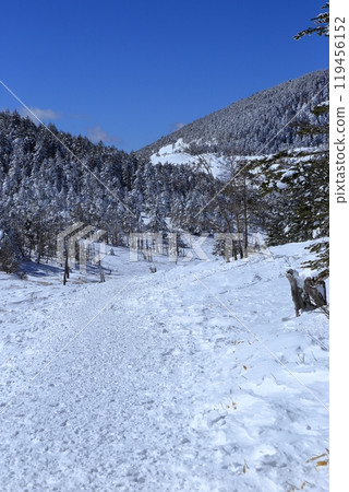 北橫岳隆冬的風景（八丁平） 119456152