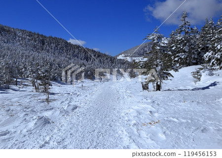 北橫岳隆冬的風景（八丁平） 119456153