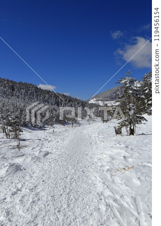 北橫岳隆冬的風景（八丁平） 119456154