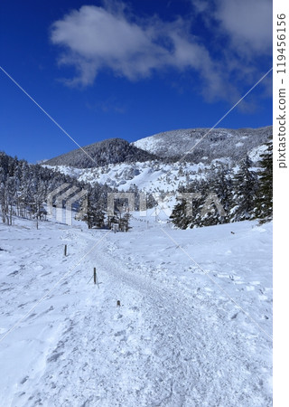 北橫岳隆冬的風景（八丁平） 119456156