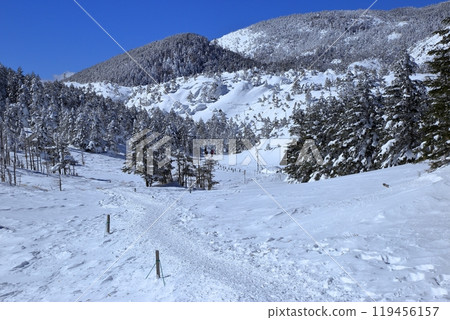 Scenery of Kitayokodake in the harsh winter (Hatchodaira) 119456157