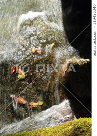Autumn leaves in Nametoko Valley 119456340