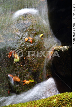 Autumn leaves in Nametoko Valley Autumn leaves in Nametoko Valley 119456341