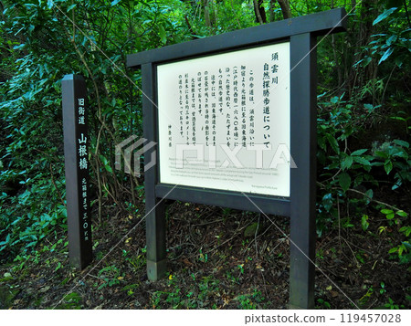 [山標]神奈川縣箱根舊高速公路山根橋（2018年） 119457028