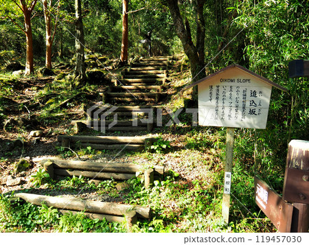 [Mountain sign] Oikomi-zaka, Hakone Old Highway, Kanagawa Prefecture (2018) 119457030