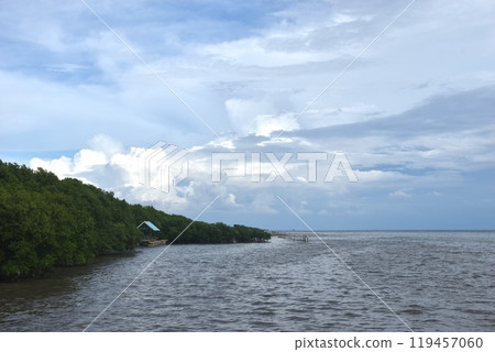 landscape of sea in sunset at mangrove forest Bang poo travel location in Thailand   119457060