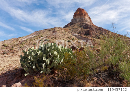 Big Bend National Park, Texas Big Bend National Park, Texas 119457122