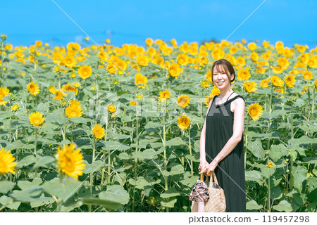 [Yokosuka, Kanagawa Prefecture] A woman surrounded by the summer blue sky and sunflower fields at Soleil Hill 119457298