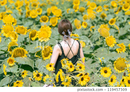 [Yokosuka, Kanagawa Prefecture] The back of a woman surrounded by the summer blue sky and sunflower fields at Soleil Hill 119457309