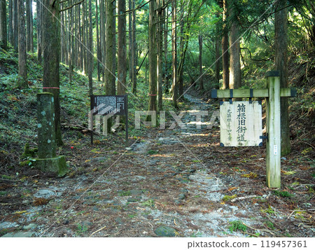 [山標]神奈川縣箱根舊高速公路（2018年） 119457361