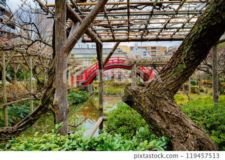 龜戶天神梅節 119457513