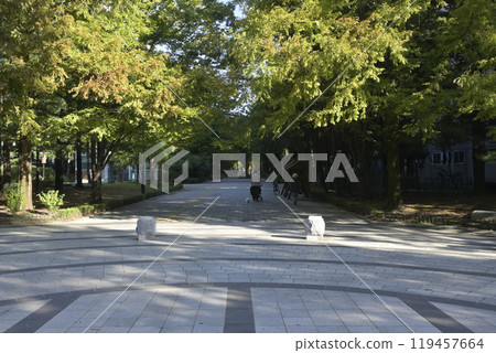 韓國新城市:一山城市景觀 韓國新城市:一山城市景觀 119457664