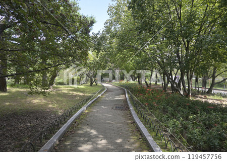 韓國的新城市:盆唐市容 韓國的新城市:盆唐市容 119457756