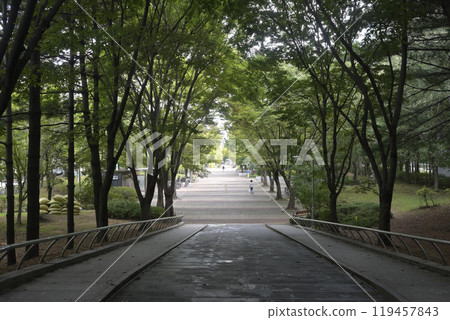 South Korea's new city: the streets of Ilsan 119457843