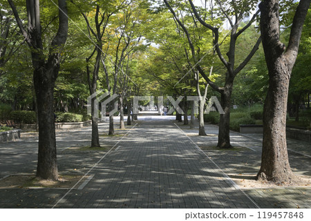 South Korea's new city: the streets of Ilsan 119457848