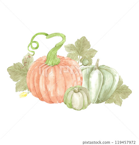 Hand drawn watercolor ripe pumpkins composition isolated on white background. Can be used for postcard, label, scrapbook and other printed products. 119457972