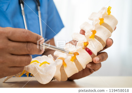 Doctor with lumbar vertebra bone skeleton and nerve model for treatment in the orthopedic department. Doctor with lumbar vertebra bone skeleton and nerve model for treatment in the orthopedic department. 119458018