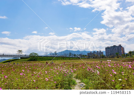 Sunny view of the Sunshine Bridge 119458315