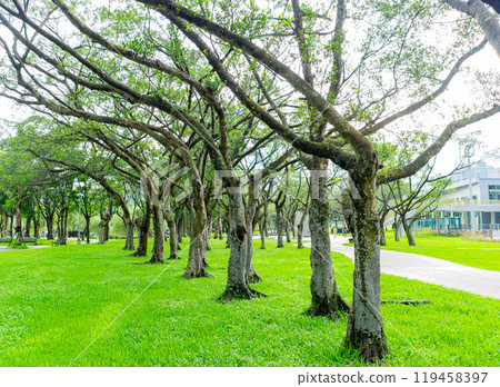 Beautiful landscape of the Dahu Park Beautiful landscape of the Dahu Park 119458397