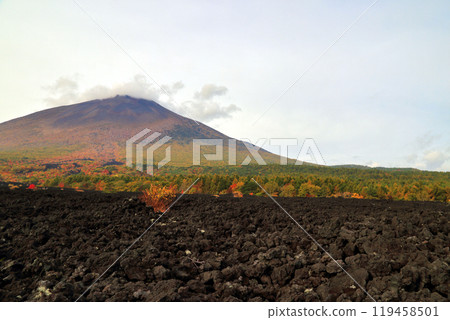 Iwate mountain and fire run in autumn 119458501