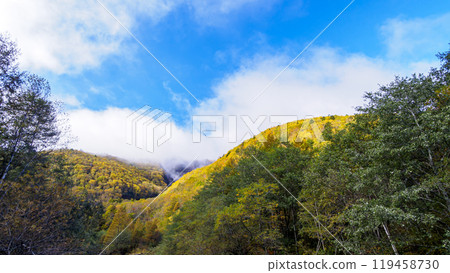 上高地與秋葉 119458730