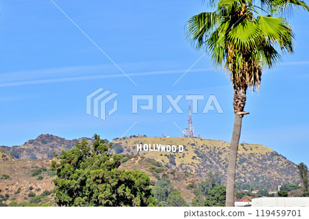 Hollywood Sign 119459701