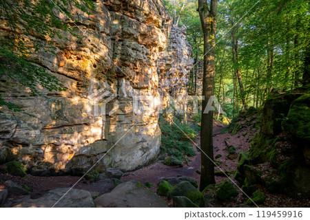 Landscape close to Treves, Eifel, Germany Landscape close to Treves, Eifel, Germany 119459916