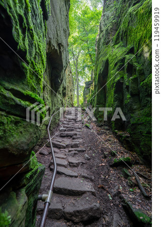Landscape close to Treves, Eifel, Germany 119459919