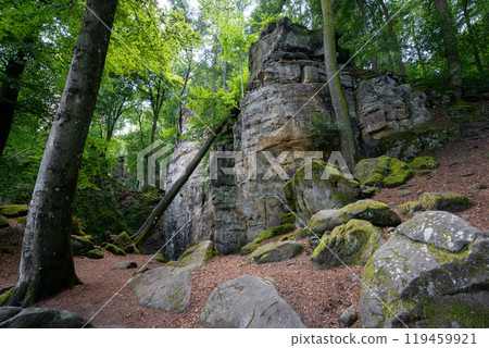 Landscape close to Treves, Eifel, Germany Landscape close to Treves, Eifel, Germany 119459921