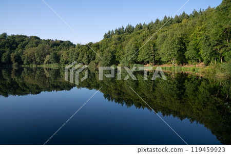 Eifel, Rhineland-Palatinate, Germany 119459923