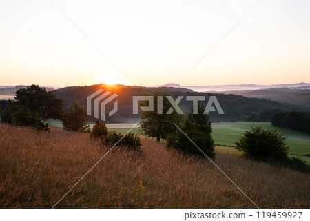 Summer landscape, Eifel close to Blankenheim, North Rhine Westphalia, Germany 119459927