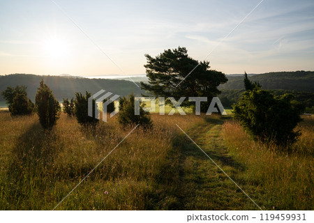 Summer landscape, Eifel close to Blankenheim, North Rhine Westphalia, Germany Summer landscape, Eifel close to Blankenheim, North Rhine Westphalia, Germany 119459931