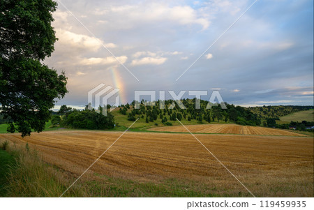 Summer landscape, Eifel close to Blankenheim, North Rhine Westphalia, Germany Summer landscape, Eifel close to Blankenheim, North Rhine Westphalia, Germany 119459935