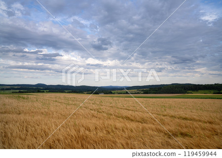 Eifel landscape, Rhineland-Palatinate, Germany 119459944