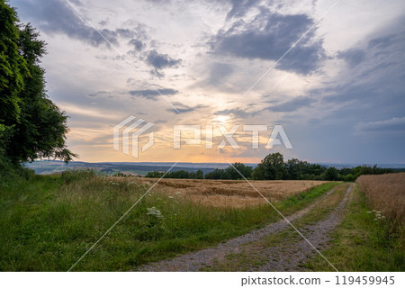 Eifel landscape, North Rhine Westphalia, Germany 119459945