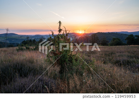 Eifel landscape, Rhineland-Palatinate, Germany Eifel landscape, Rhineland-Palatinate, Germany 119459953