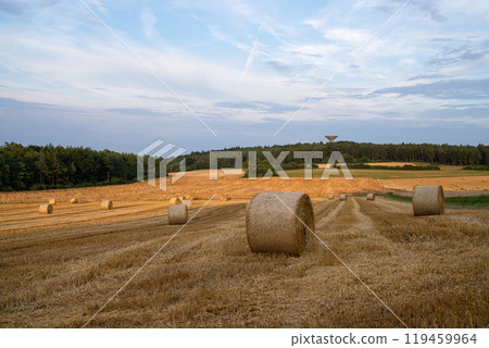 Eifel landscape, North Rhine Westphalia, Germany Eifel landscape, North Rhine Westphalia, Germany 119459964