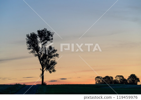 Eifel landscape, Rhineland-Palatinate, Germany Eifel landscape, Rhineland-Palatinate, Germany 119459976
