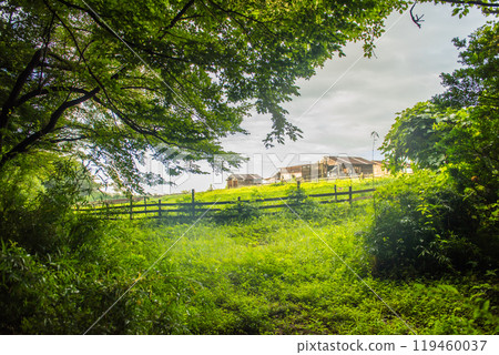 A highland ranch in the early summer morning A highland ranch in the early summer morning 119460037