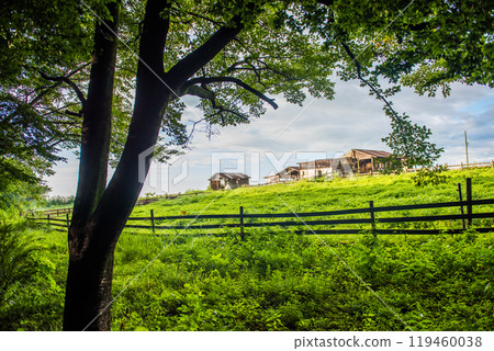 A highland ranch in the early summer morning 119460038