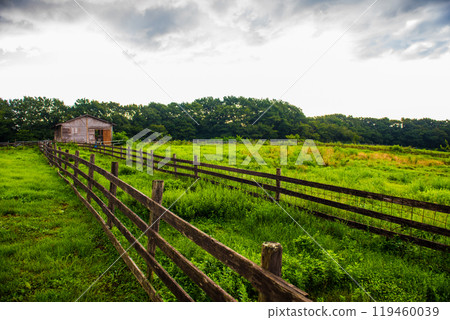 A highland ranch in the early summer morning A highland ranch in the early summer morning 119460039