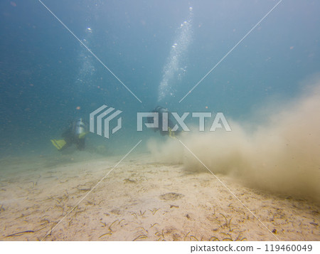 Good trim and finning techniques are essential scuba diving skills for visibility and marin life 119460049