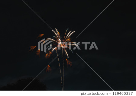 Fireworks in the night sky at the Nakanocho Fireworks Festival in Hamamatsu City, seen from the Tenryu River riverbed (Shizuoka Prefecture) 119460357