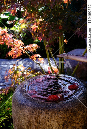 Flowers swaying in the ripples caused by drops falling into a water basin Flowers swaying in the ripples caused by drops falling into a water basin 119460752