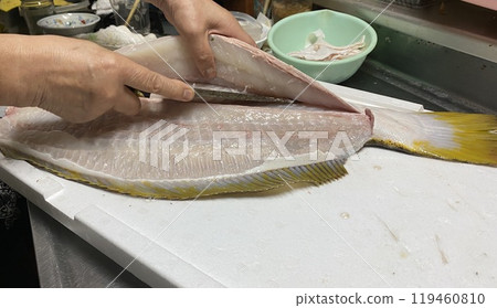 Hands cutting up a flounder Hands cutting up a flounder 119460810